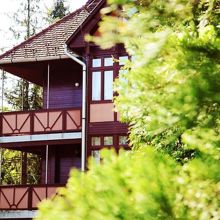 Ezuestfenyo Hotel Телкібанья Екстер'єр фото